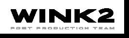 wink2-logo